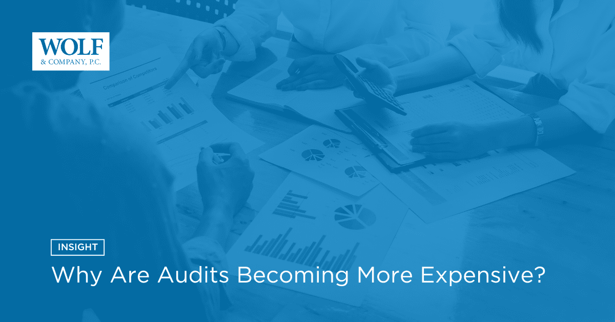 why are audits so expensive