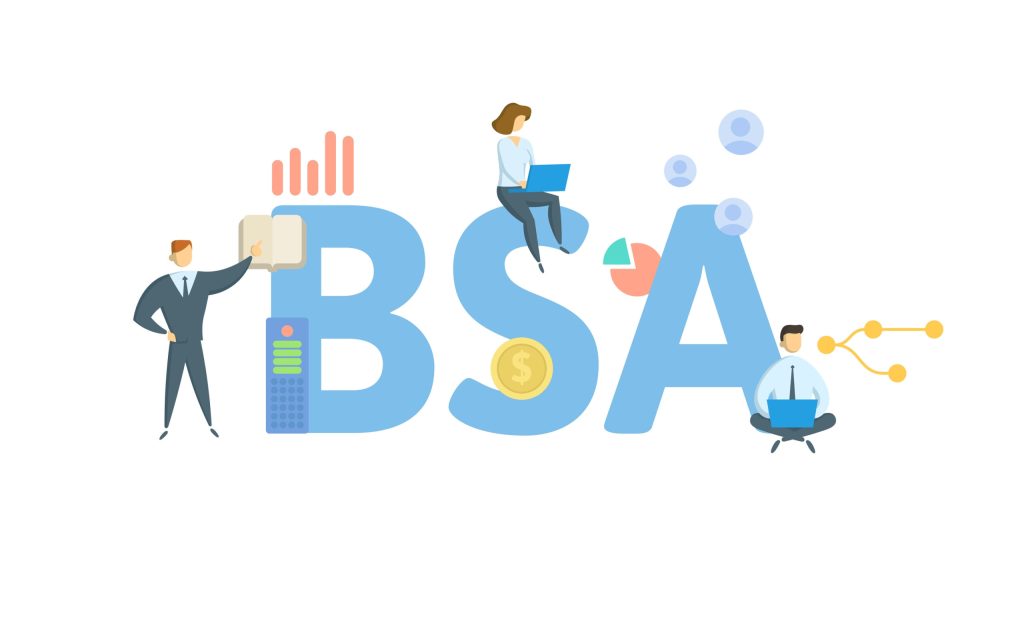 BSA Software: Best Practices & Expectations